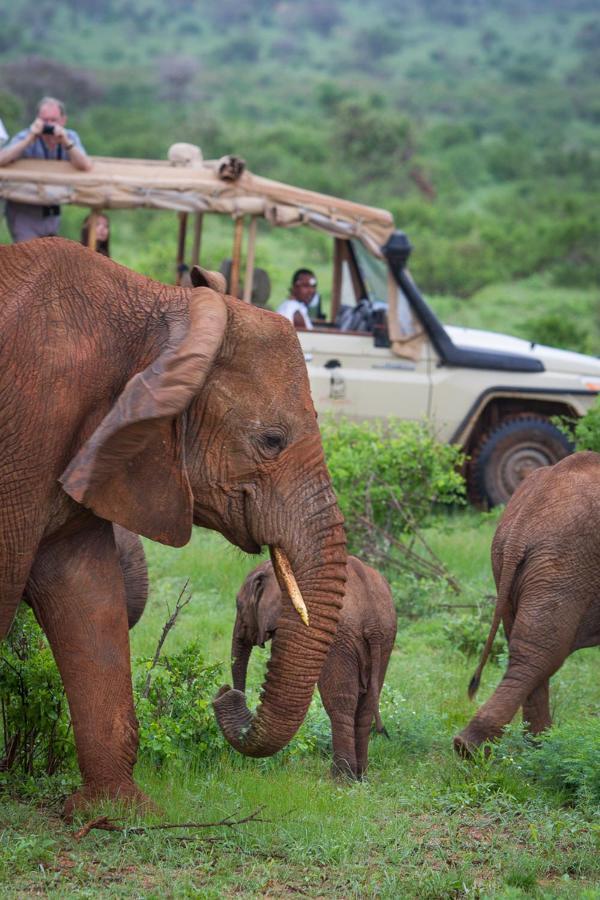 Elephant Bedroom Camp - Samburu Archers Post المظهر الخارجي الصورة