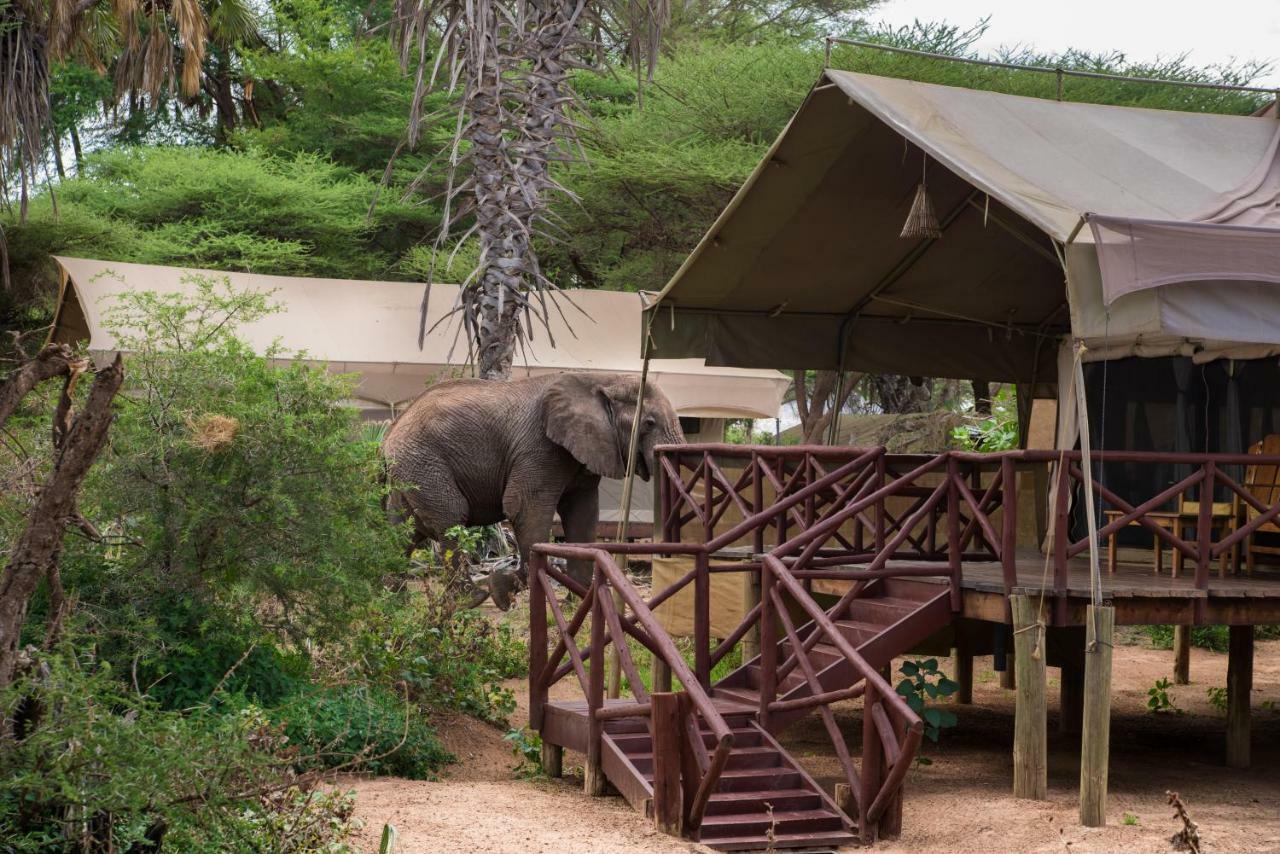 Elephant Bedroom Camp - Samburu Archers Post المظهر الخارجي الصورة